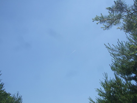 DSCF5325