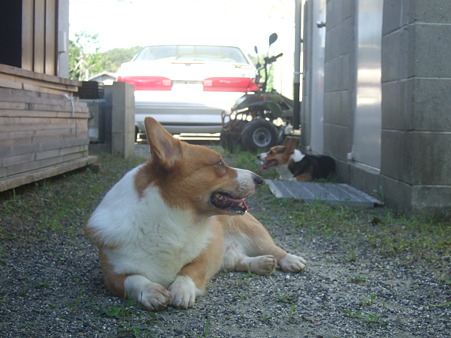 DSCF5674