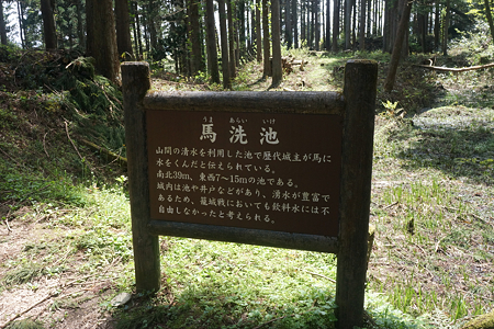 増山城 - 14
