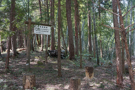 増山城 - 16