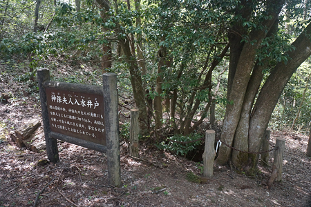 増山城 - 17