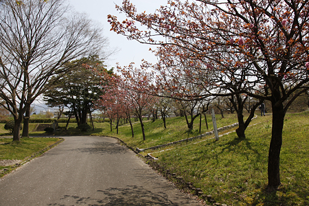 村松城 - 04