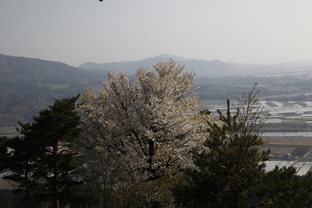 平林城〔加護山城〕 - 11