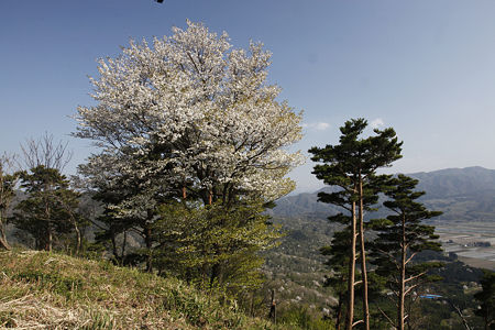 平林城〔加護山城〕 - 13
