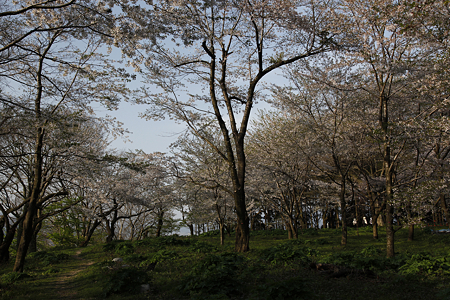 村上城（本庄城） - 05
