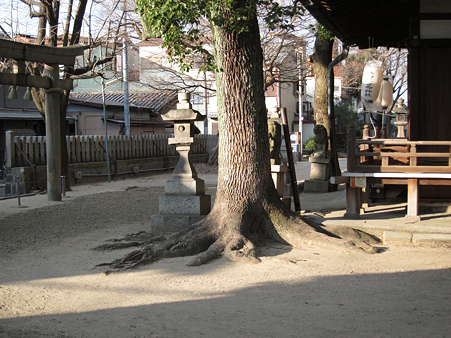 赤留比売命神社 - 3
