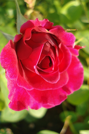 DSC00120