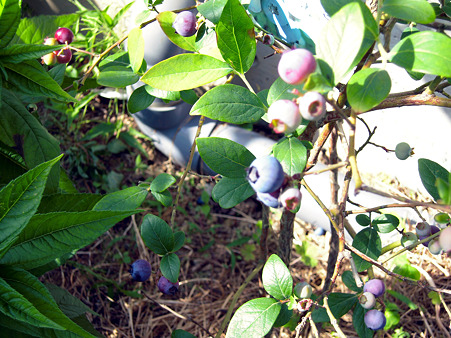 DSCN0860_edited