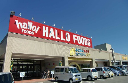 hallo foods-230924-3
