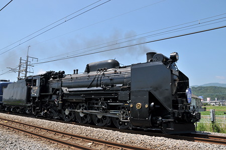 D51(4)