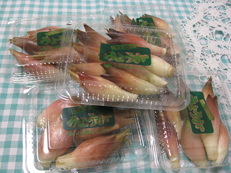 みょうがの特売
