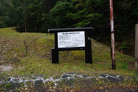 1104271529_DSC_0206