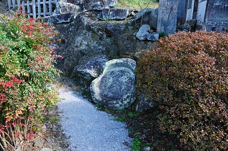 1001011232_DSC_5219