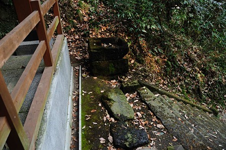 1001021259_DSC_6723