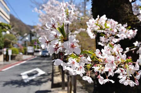 1004081214_DSC_1997