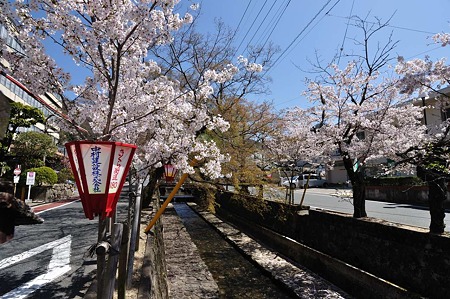 1004081214_DSC_1999
