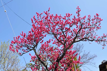 1004081215_DSC_2002