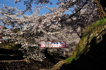 1004081640_DSC_2625