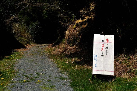1005030907_DSC_3039