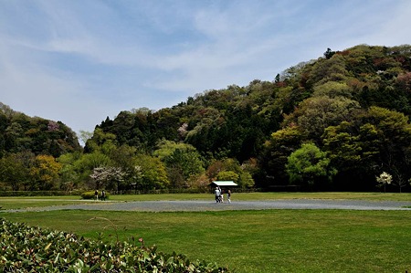 1005031030_DSC_3074