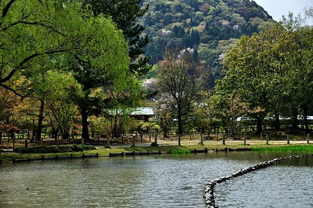1005031055_DSC_3169