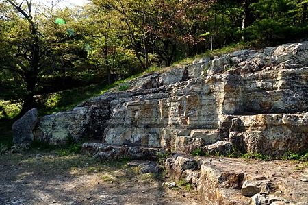 1005031542_DSC_3801
