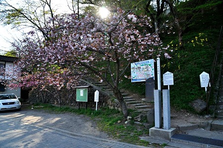 1005031554_DSC_3849