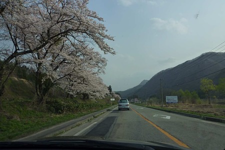 1005041621_P1660140