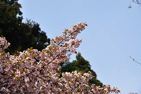 1005050827_DSC_5050