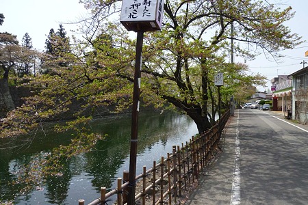 1005051234_P1660466