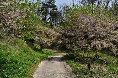 1005051324_DSC_5630