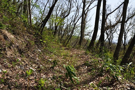 1005051403_DSC_5667