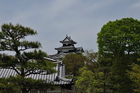 1005061217_DSC_6704