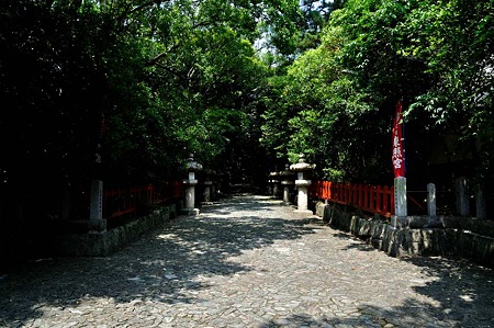 1008221202_DSC_8933