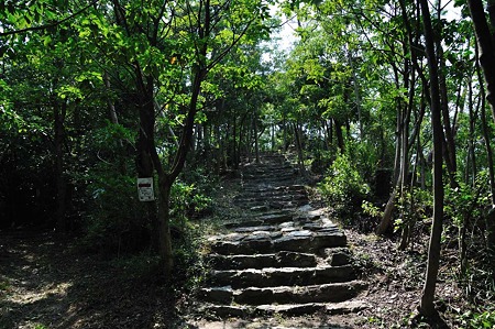1008221258_DSC_9070