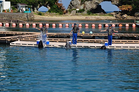 1009191418_DSC_1978