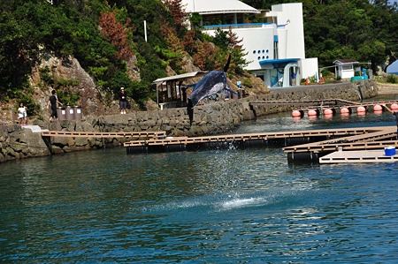 1009191421_DSC_1995