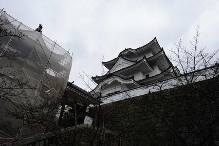 1011230942_DSC_4185