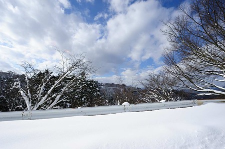 1101011321_DSC_6423