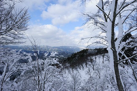 1101011408_DSC_6518