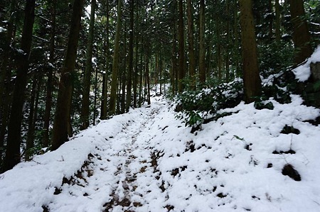 1101021225_DSC_7154