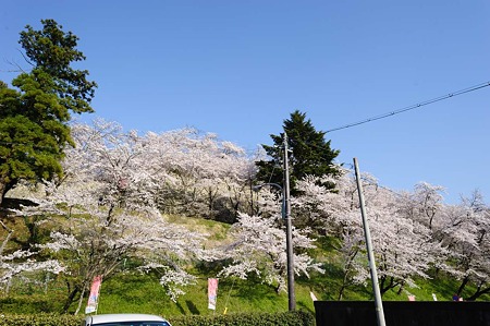 1104121633_DSC_9405