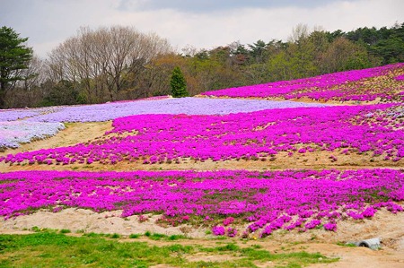 1104271002_DSC_9864