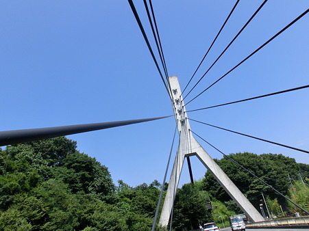 CIMG0022
