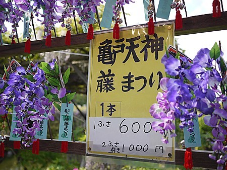 東京観光