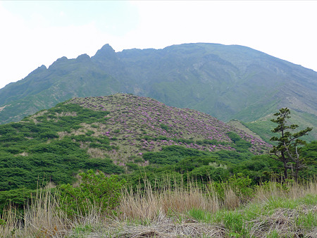 仙酔峡(1)