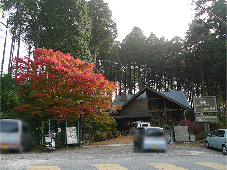 わかさ農園(1)