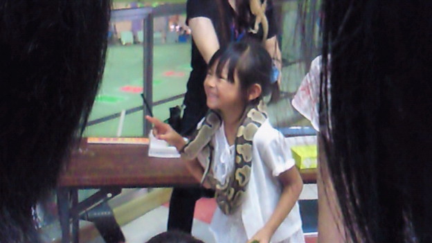 幼女とヘビ 照片共享页面 撮影蔵