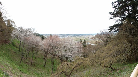 tyuusonji_p1