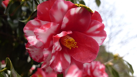 P1080396
